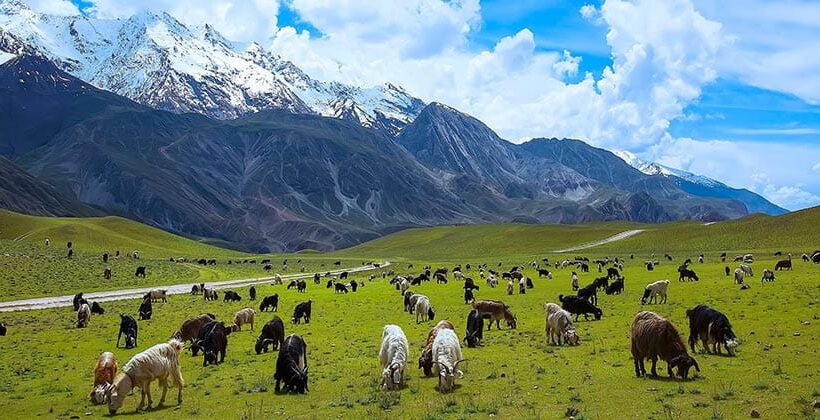 11 Days 10 Nights Chitral Kalash, Shandur & Hunza Summer Tour