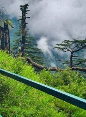 Muree Tours